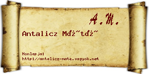 Antalicz Máté névjegykártya