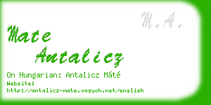 mate antalicz business card